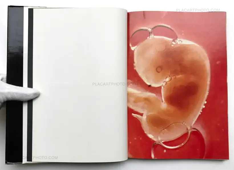 Kazuo Kenmochi – PHOTOGRAPHIC DOCUMENT THE TINIEST LIFE