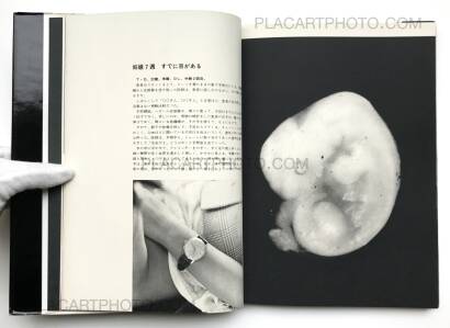 Kazuo Kenmochi,PHOTOGRAPHIC DOCUMENT THE TINIEST LIFE