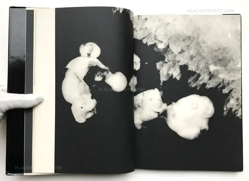 Kazuo Kenmochi – PHOTOGRAPHIC DOCUMENT THE TINIEST LIFE