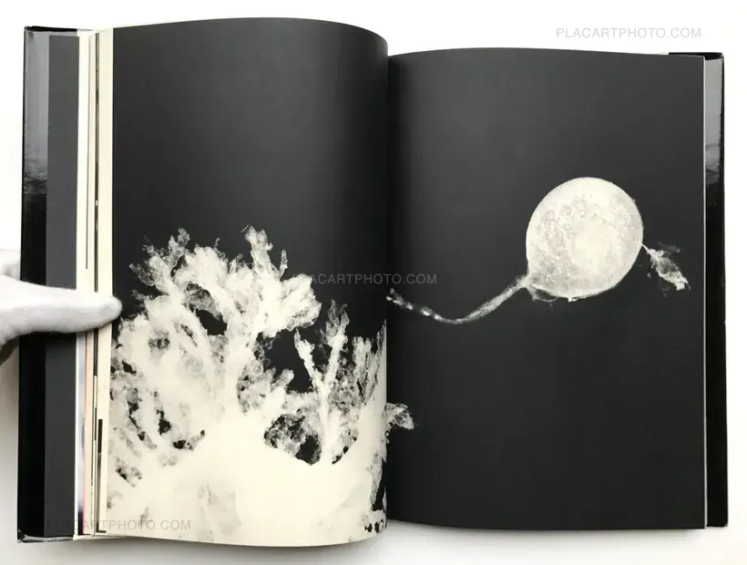 Kazuo Kenmochi – PHOTOGRAPHIC DOCUMENT THE TINIEST LIFE