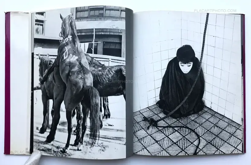 Masahisa Fukase – YUGI (Homo Ludence)