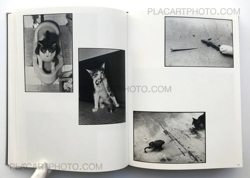 Masahisa Fukase – MASAHISA FUKASE