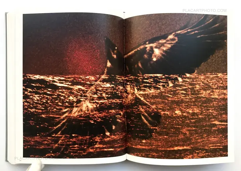 Masahisa Fukase – MASAHISA FUKASE
