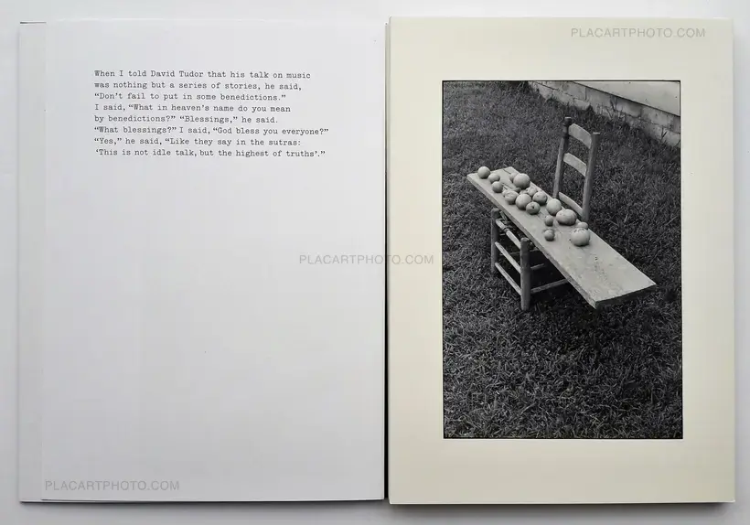 William Gedney – Iris Garden
