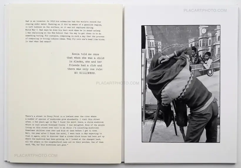 William Gedney – Iris Garden