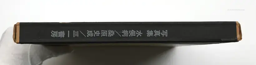 Fumiaki (Shisei) Kuwabara – Minamata Disease