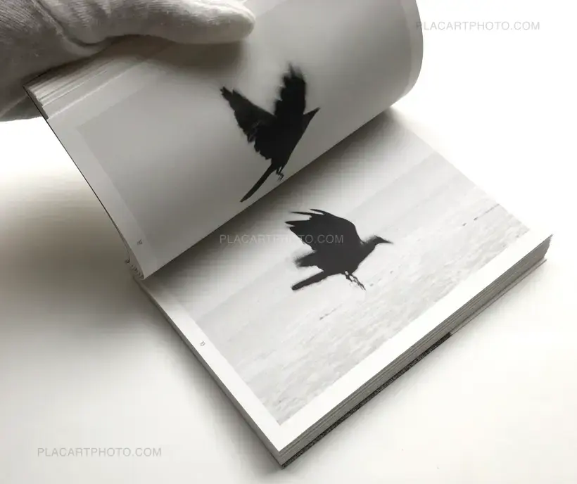 Hans Bol – God's Allies (Signed copy)