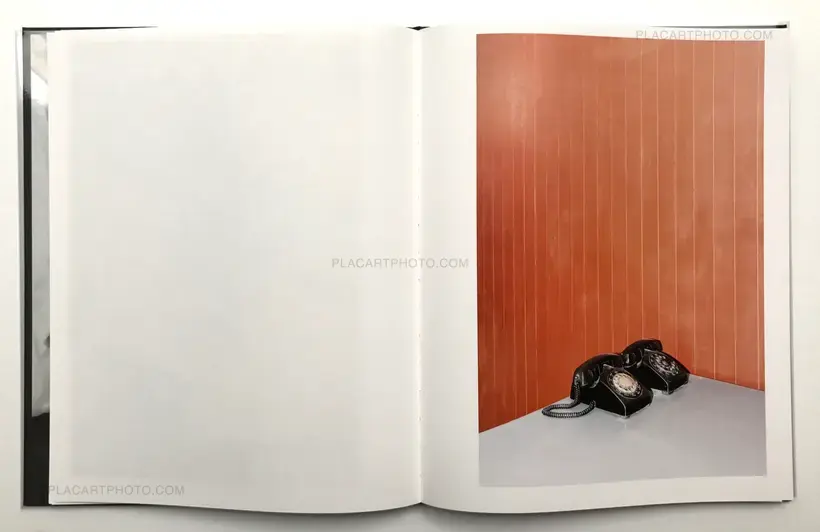 Simone Sapienza – CHARLIE SURFS ON LOTUS FLOWERS
