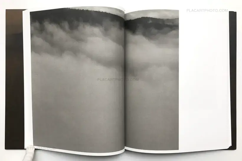 Matthew Genitempo – Jasper