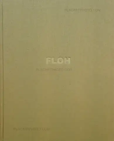 Tacita Dean – Floh (Signed)