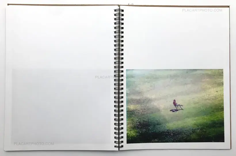 Andrew Hammerand – 36) The New Town vol.2 (Numbered and signed)only 25 copies!