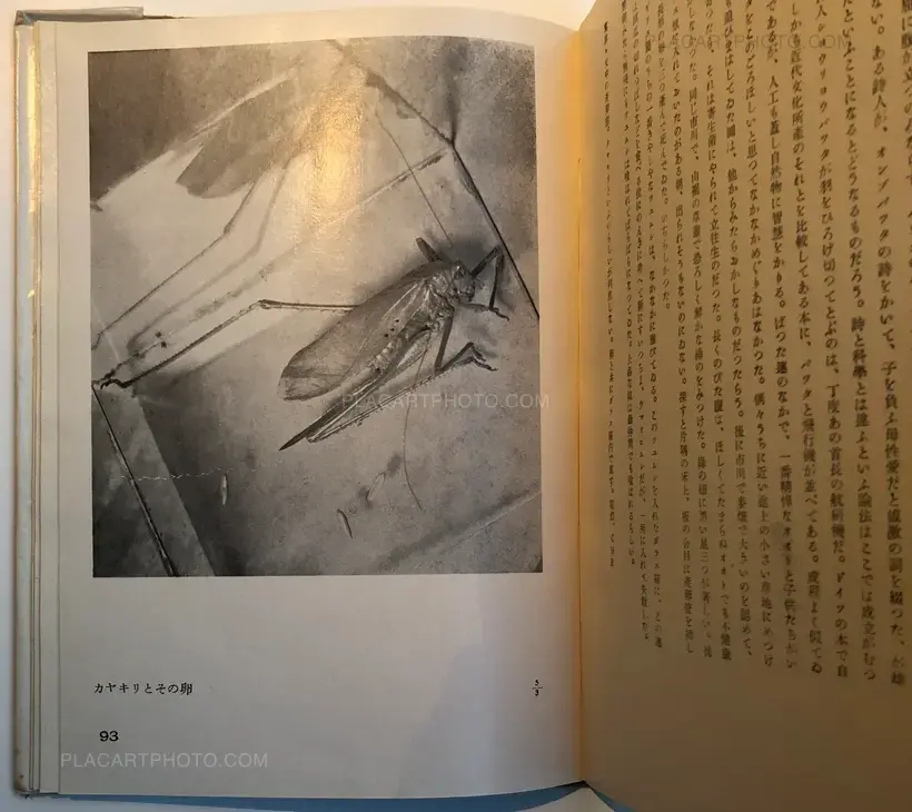Koshiro Onchi – Hakubutsushi: Zuihitsu, Shashin