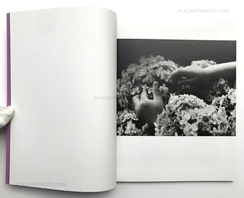 Toshiko Hashimoto – Kichimu Flies at Night