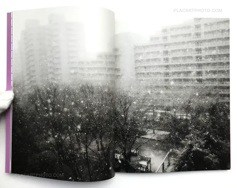 Toshiko Hashimoto – Kichimu Flies at Night