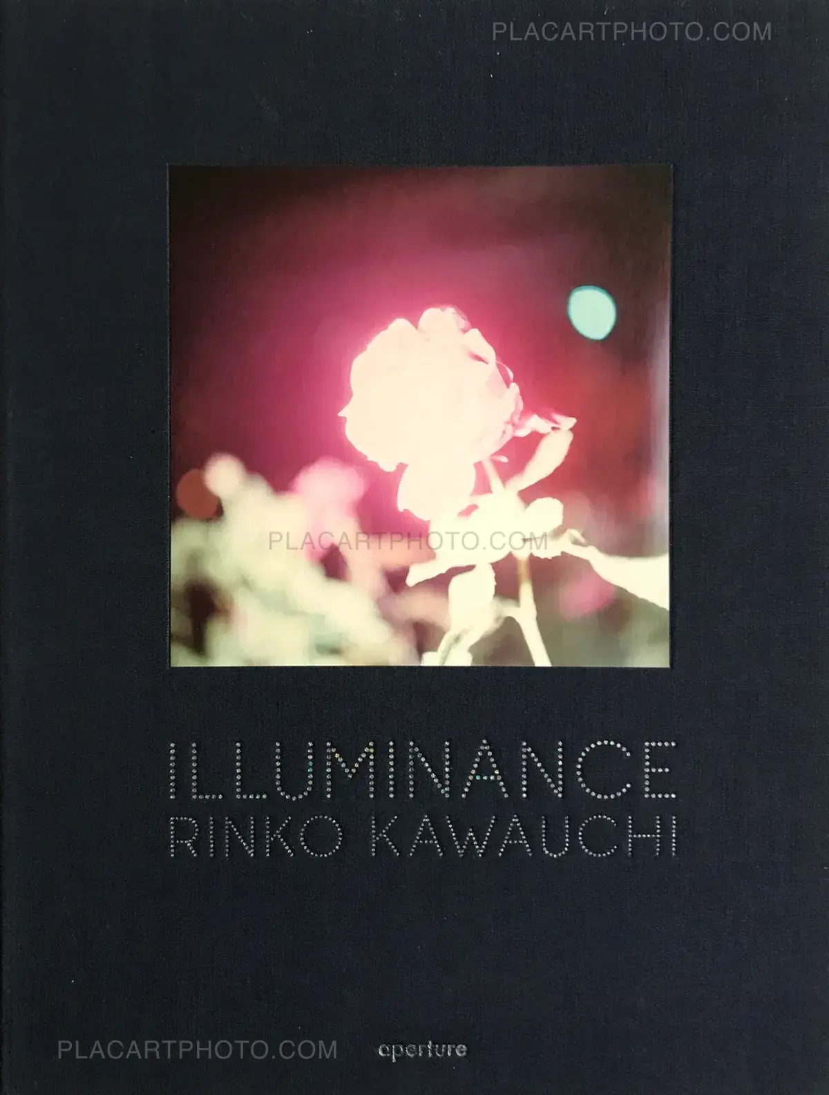 Rinko Kawauchi, Illuminance (Signed), aperture, 2011 | Le Plac