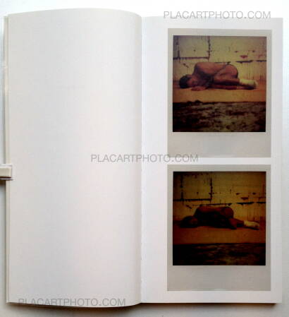 Julião Sarmento,95 Polaroids SX70