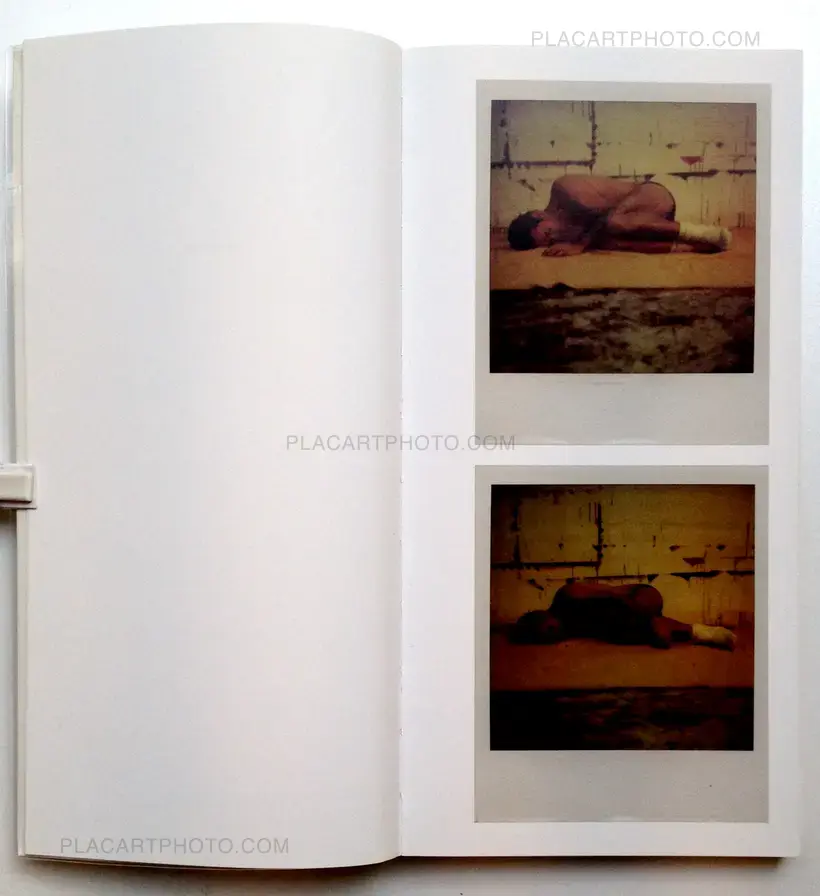 Julião Sarmento – 95 Polaroids SX70