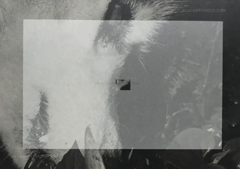 Issei Suda – The Mechanical Retina on My Fingertips