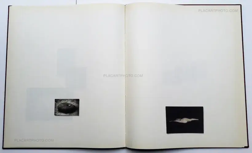 Masao Yamamoto – É (SIGNED)