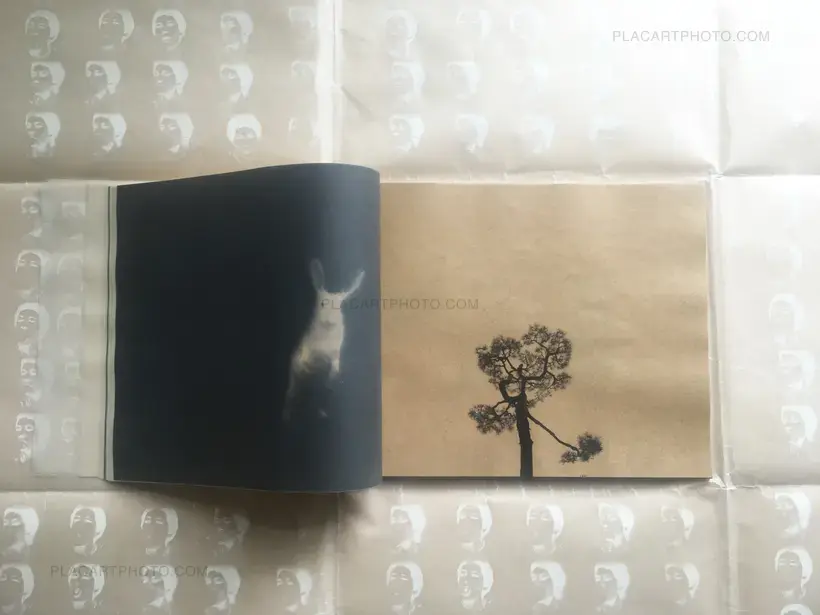 Miho Kajioka – SO IT GOES (ONLY 60 COPIES) SIGNED!