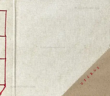 Zaida Kersten – Uterus (signed and numbered edt of 16 copies)