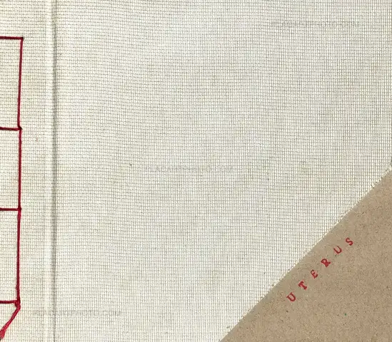 Zaida Kersten – Uterus (signed and numbered edt of 16 copies)