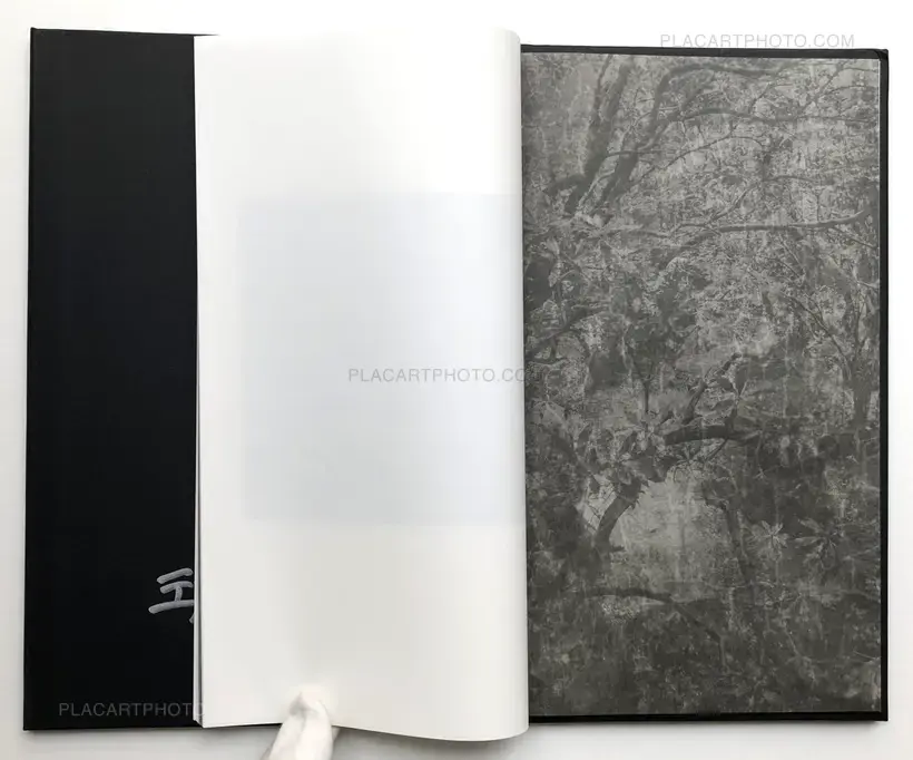 Wang Juyan – Uncharted+