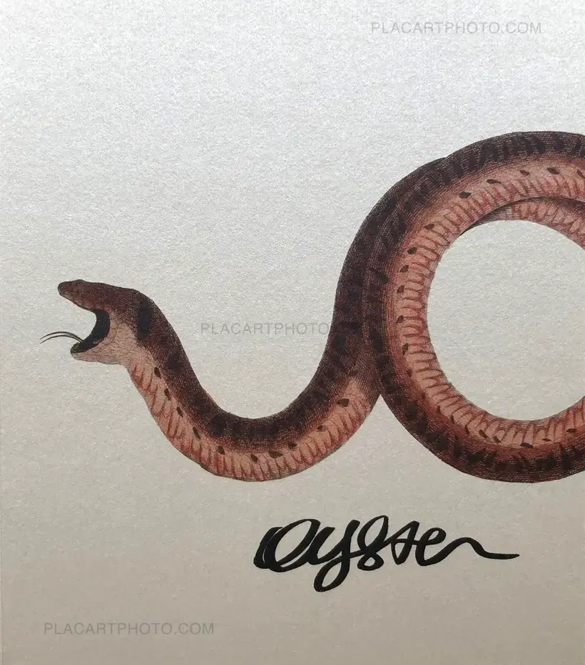 Marco Marzocchi – OYSTER (SIGNED)