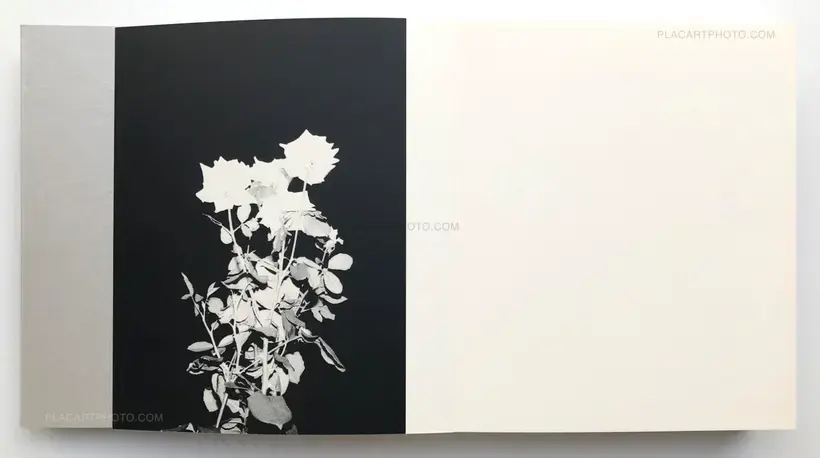 Marco Marzocchi – OYSTER (SIGNED)