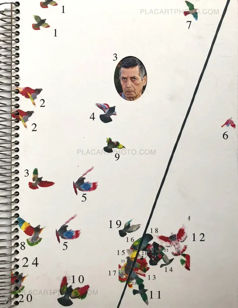 Ricardo Cases – Paloma al aire
