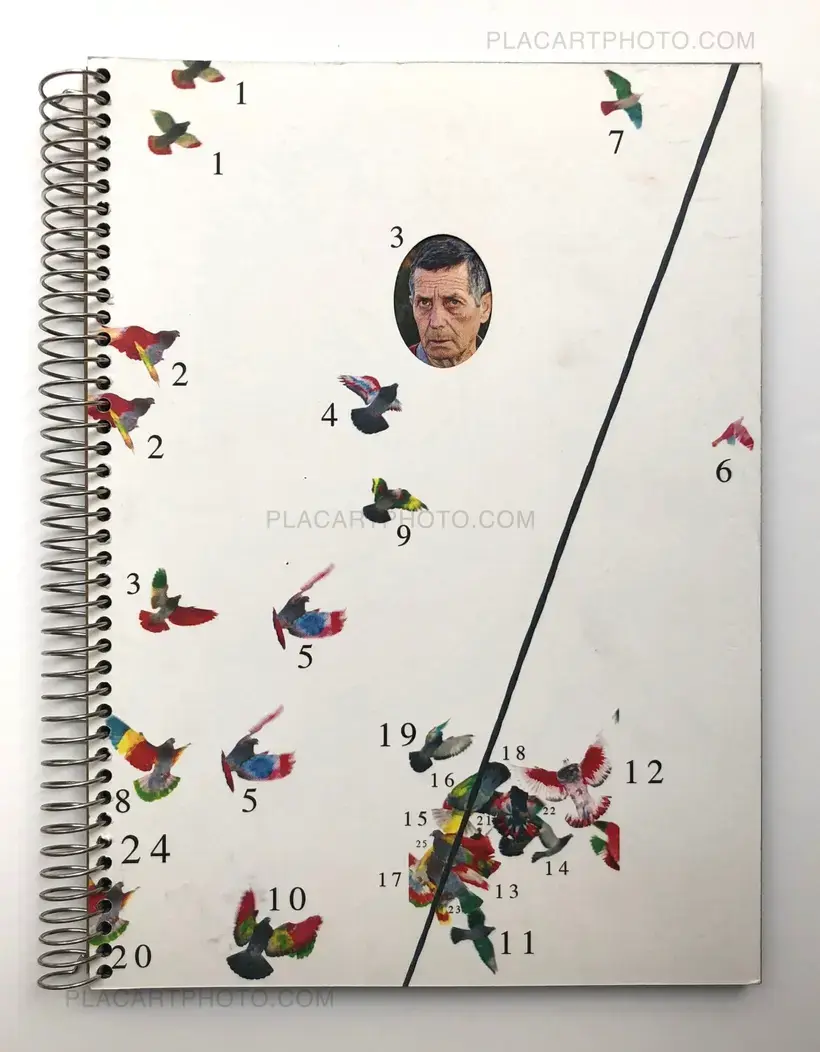 Ricardo Cases – Paloma al aire