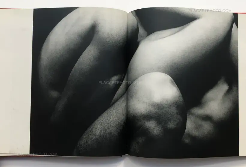 Eikoh Hosoe – Embrace