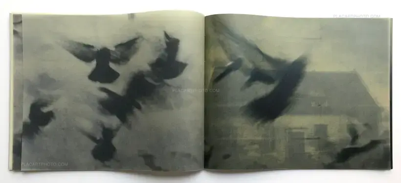 Miho Kajioka – SO IT GOES (SIGNED)