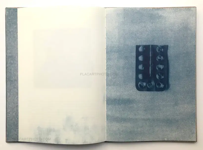 Giula Lacolutti – Casa Azul