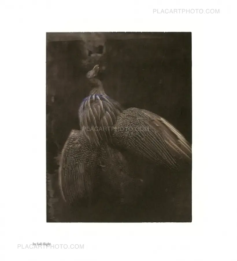 Sarah Moon – FROM ONE SEASON TO ANOTHER (SIGNED)