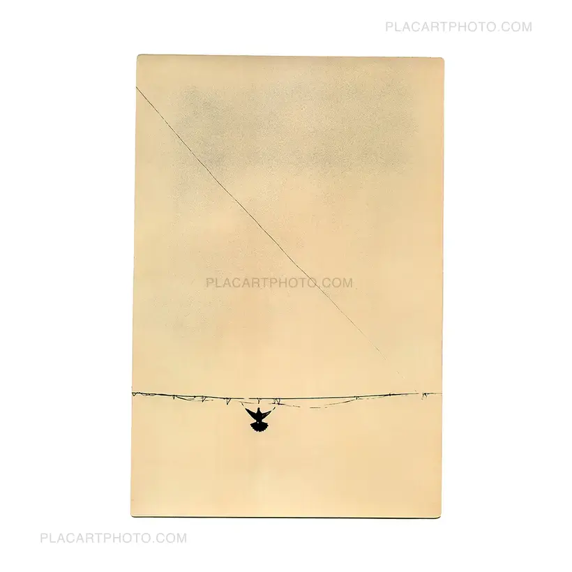 Miho Kajioka – SO IT GOES (SPECIAL EDITION WITH PRINT)