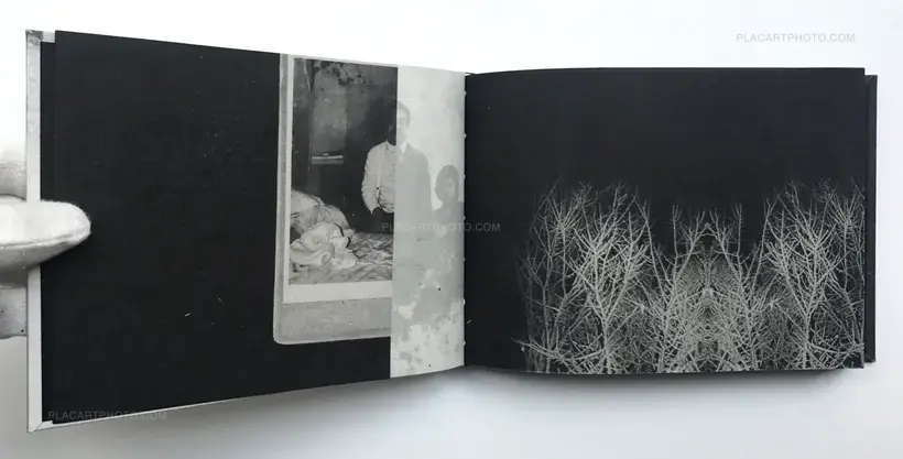 Hajime Kimura – Snowflakes Dog Man (Regular edition Signed)