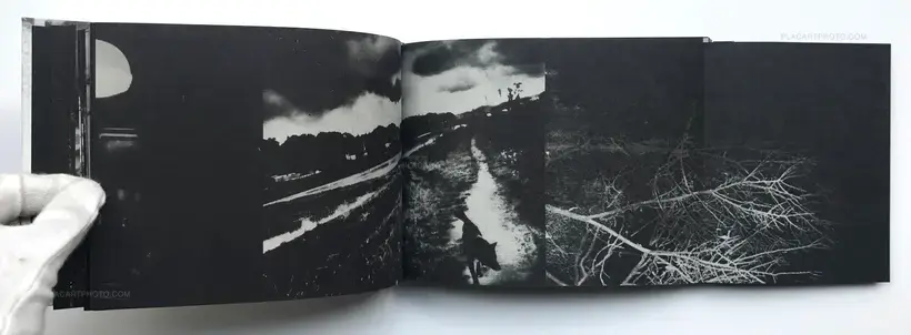 Hajime Kimura – Snowflakes Dog Man (Regular edition Signed)