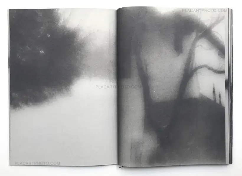 Hajime Kimura – Snowflakes Dog Man (Regular edition Signed)