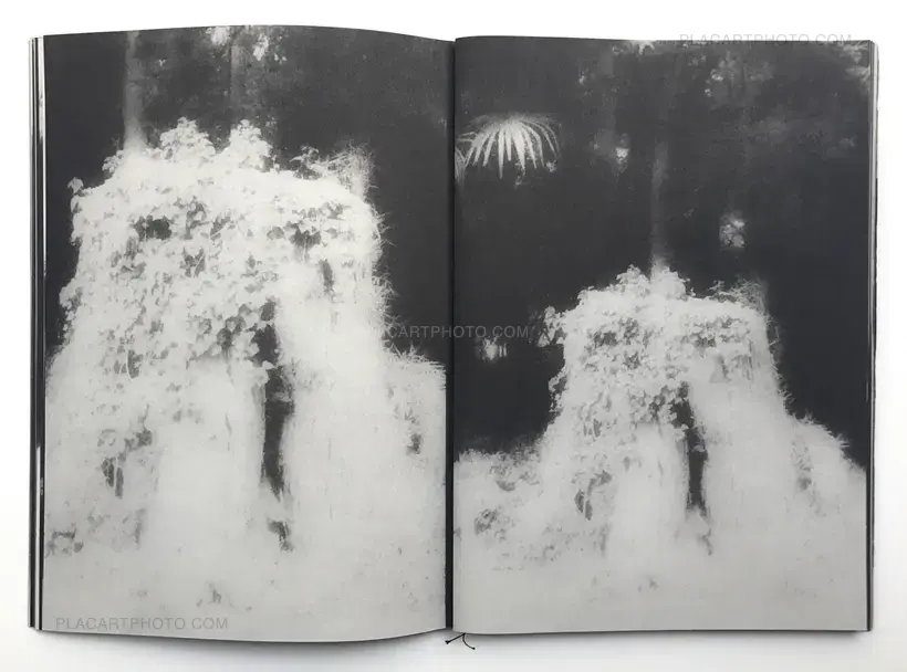 Hajime Kimura – Snowflakes Dog Man (Regular edition Signed)