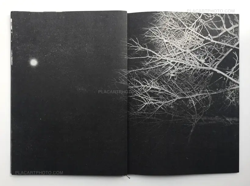 Hajime Kimura – Snowflakes Dog Man (Regular edition Signed)