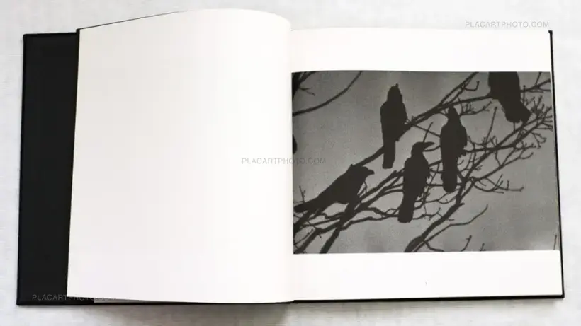 Masahisa Fukase – Karasu / Raven (Inscribed) + Envelope + Vintage print (Signed)