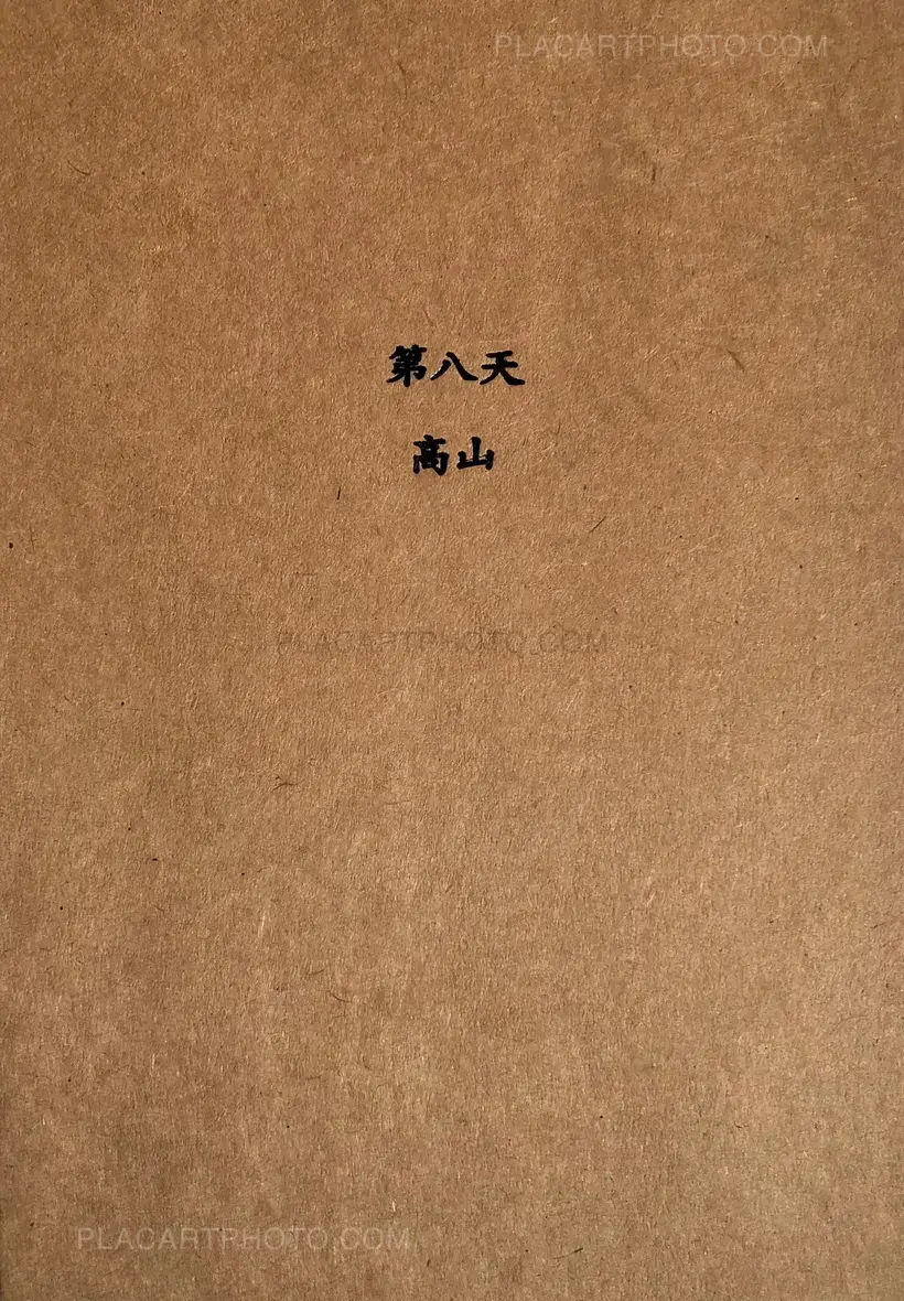 Shan Gao – The Eighth Day