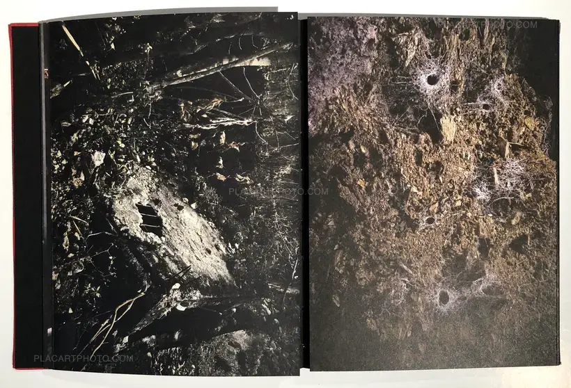 Yael Martinez – La Casa Que Sangra (Signed)