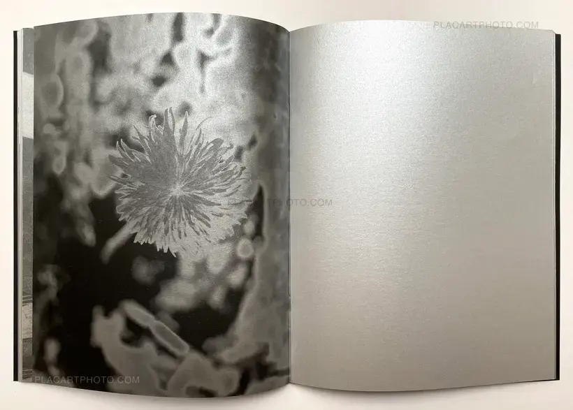 Dan Commons – No Silver Bird (WITH A PRINT Signed edt of 100)