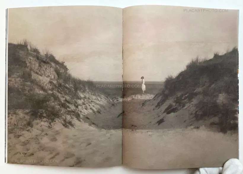 Zhen Shi – Tragédie Coïncidence Et La Double Vie De L.L.D.M (Signed)