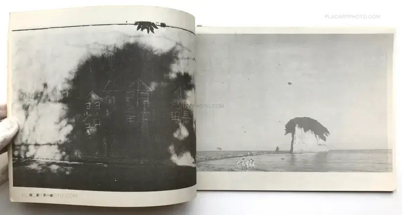 Collective – D&A