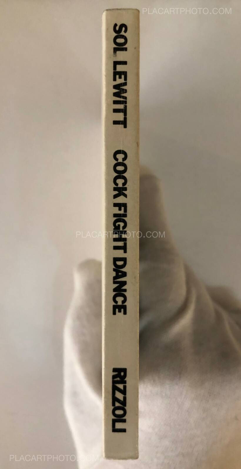 Sol Lewitt: Cock Fight Dance, Rizzoli & Multiples, 1980 | Bookshop