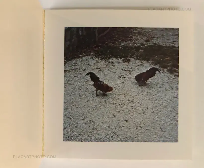 Sol Lewitt – Cock Fight Dance