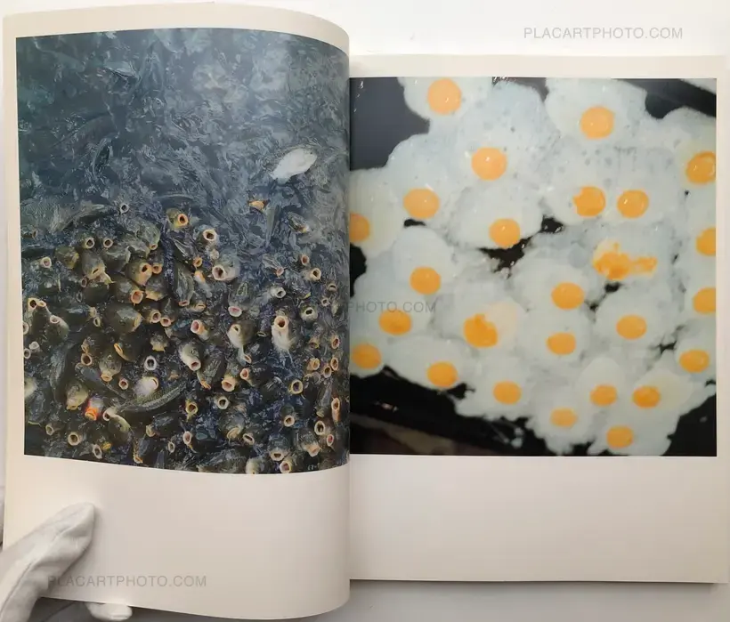 Rinko Kawauchi – Utatane